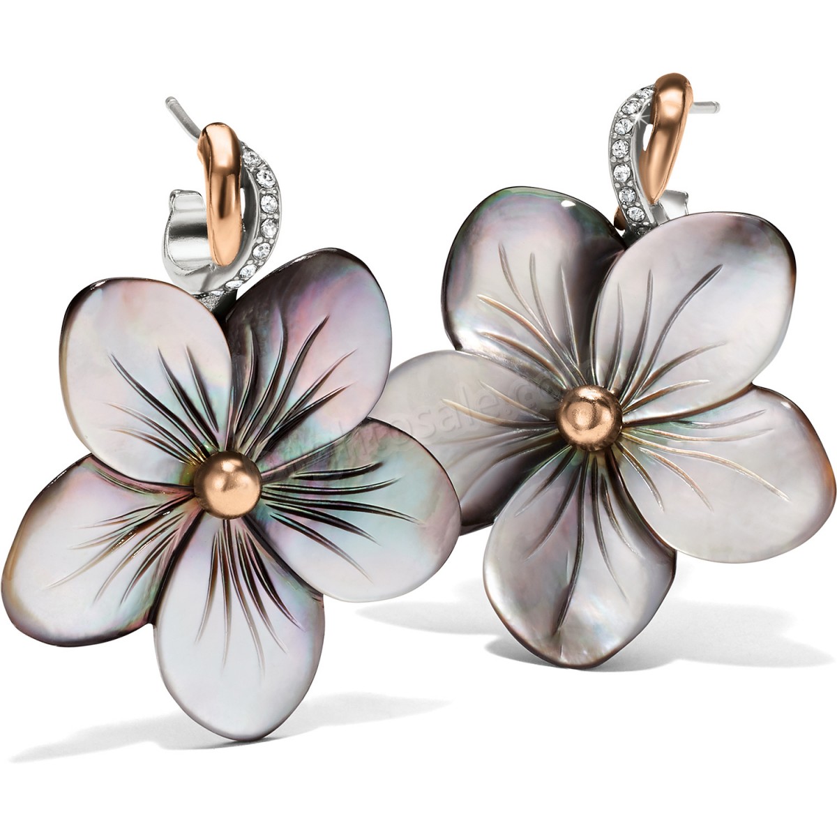 Brighton Collectibles & Online Discount Neptune's Rings Shell Flower Earrings - -0