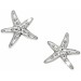 Brighton Collectibles & Online Discount Cape Star Mini Post Earrings - 0