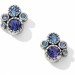 Brighton Collectibles & Online Discount Halo Post Earrings - 0